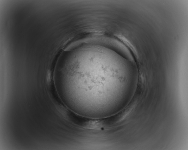 X0000088650117200705251510