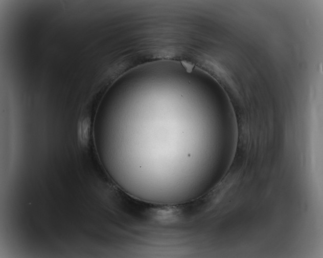 X0000088650118200705251510