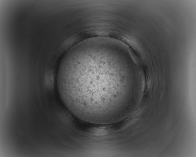 X0000088650120200705251510