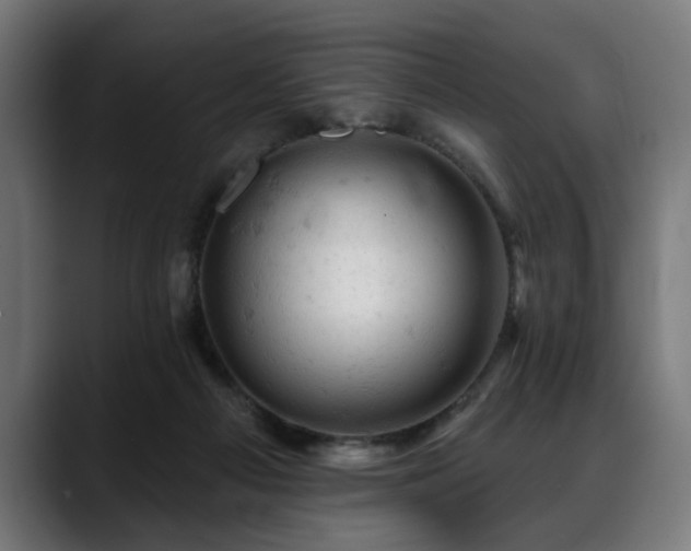 X0000088650121200705251510