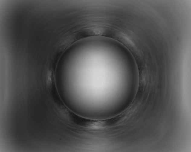 X0000088650122200705251510