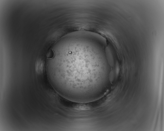 X0000088650123200705251510