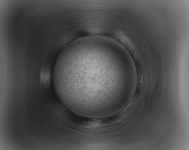 X0000088650124200705251510