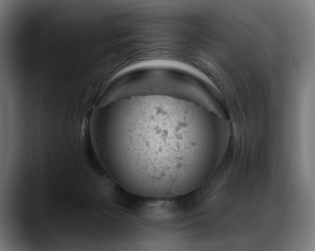 X0000088650125200705251510