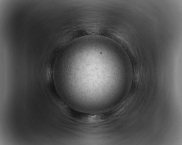 X0000088650130200705251510