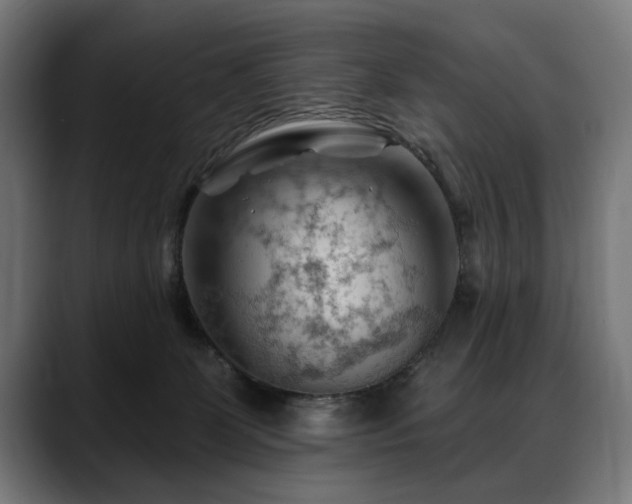 X0000088650131200705251510