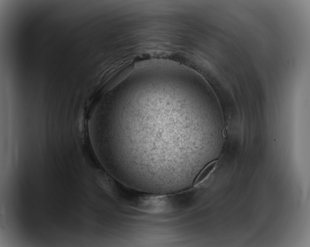 X0000088650132200705251510