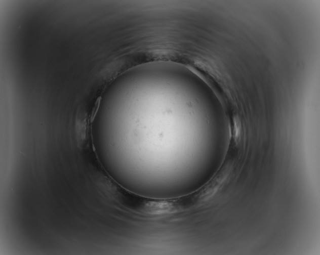 X0000088650133200705251510