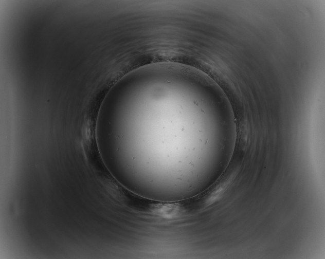 X0000088650135200705251509