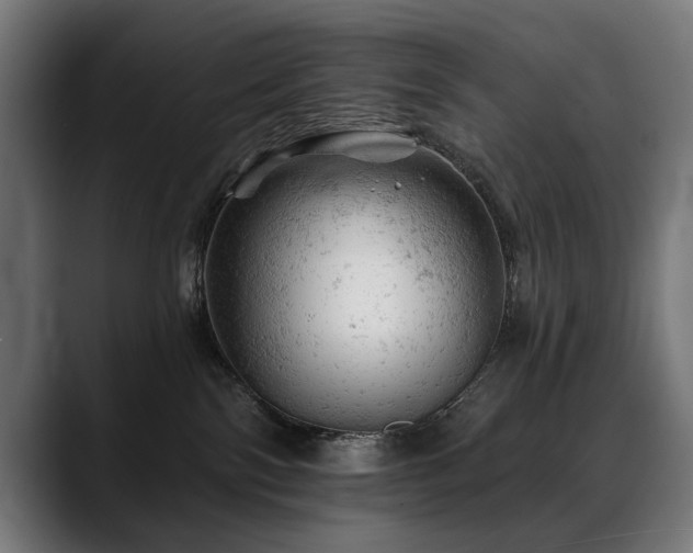 X0000088650138200705251509