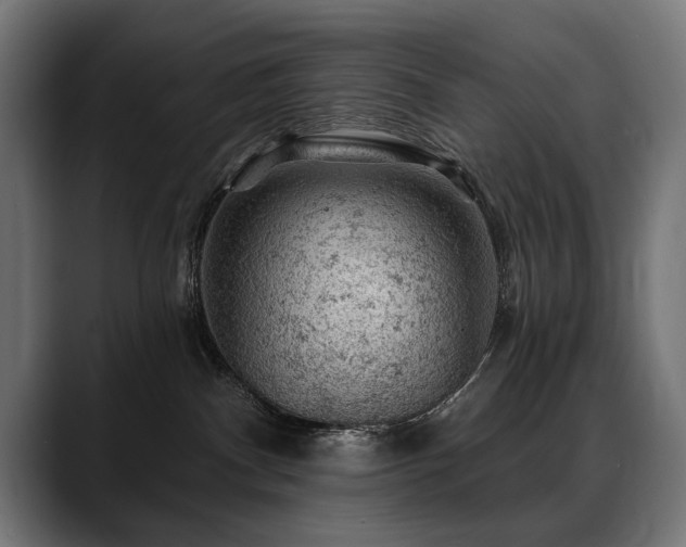 X0000088650140200705251509