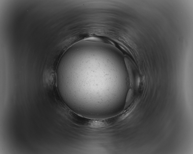 X0000088650141200705251509