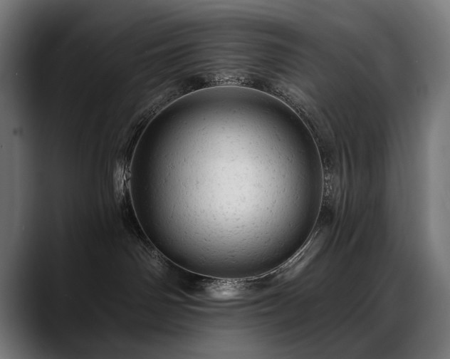 X0000088650142200705251509