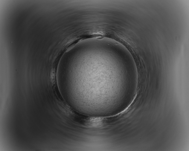 X0000088650144200705251509
