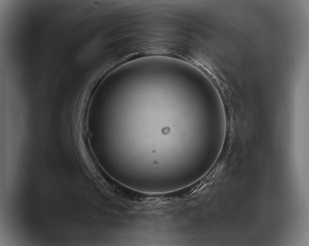 X0000088650145200705251509
