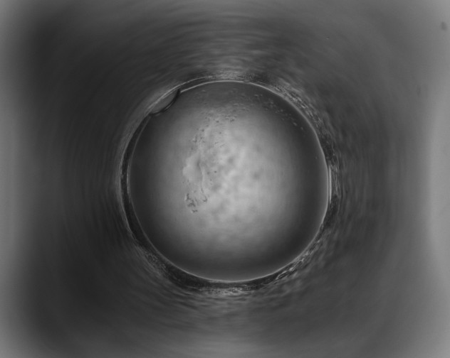 X0000088650147200705251509