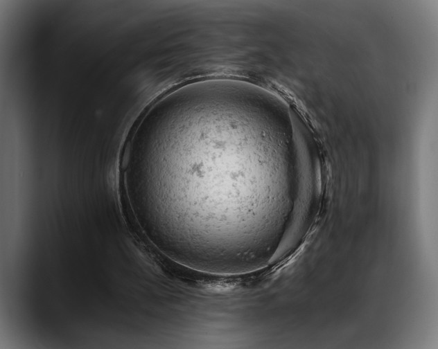 X0000088650148200705251509