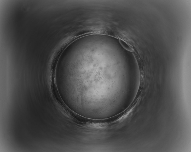 X0000088650149200705251509
