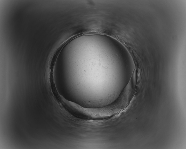 X0000088650150200705251509