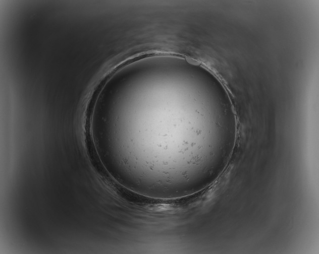 X0000088650151200705251509
