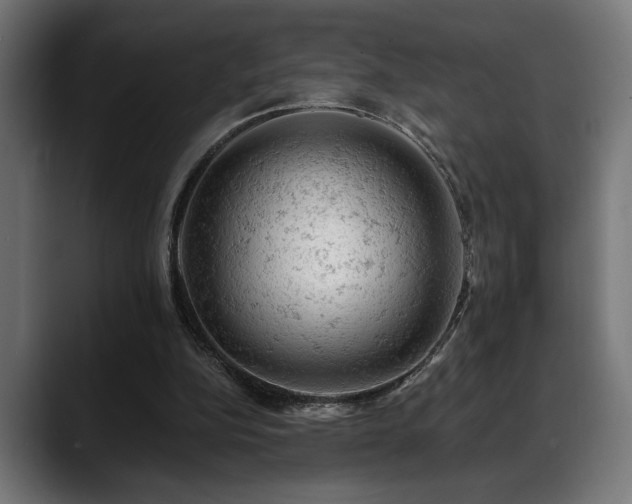X0000088650152200705251509