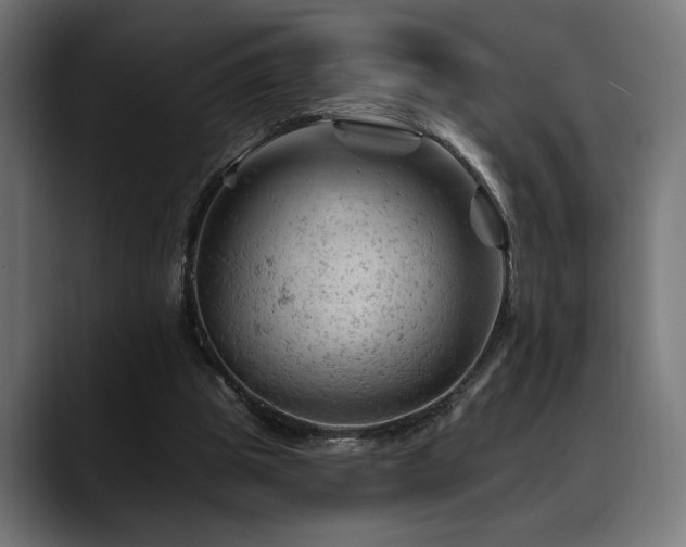 X0000088650153200705251509