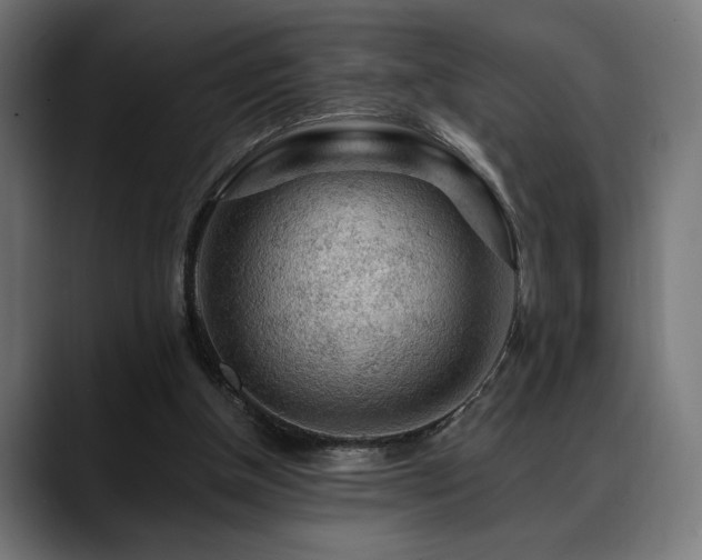 X0000088650154200705251509