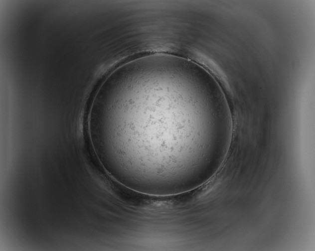 X0000088650155200705251509