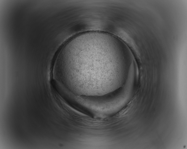 X0000088650156200705251509