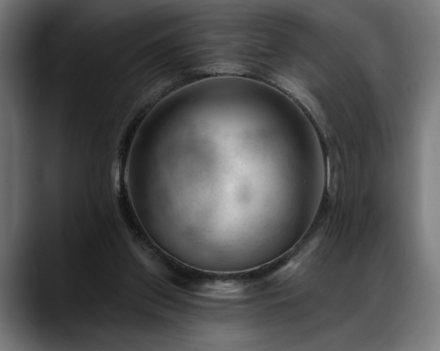 X0000088650157200705251509