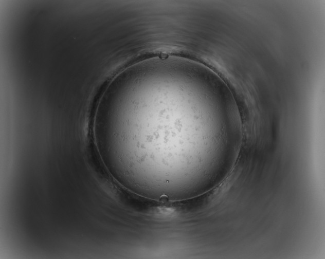 X0000088650159200705251509