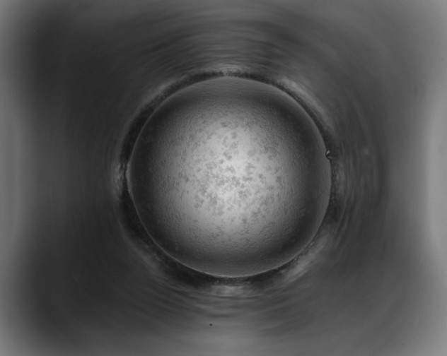 X0000088650160200705251509