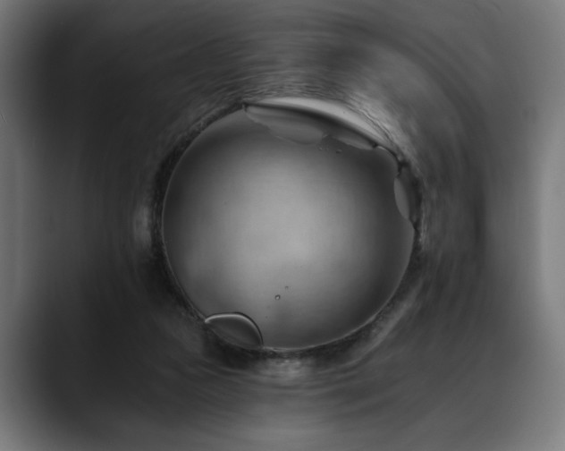 X0000088650161200705251509