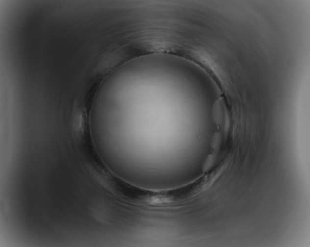 X0000088650165200705251509