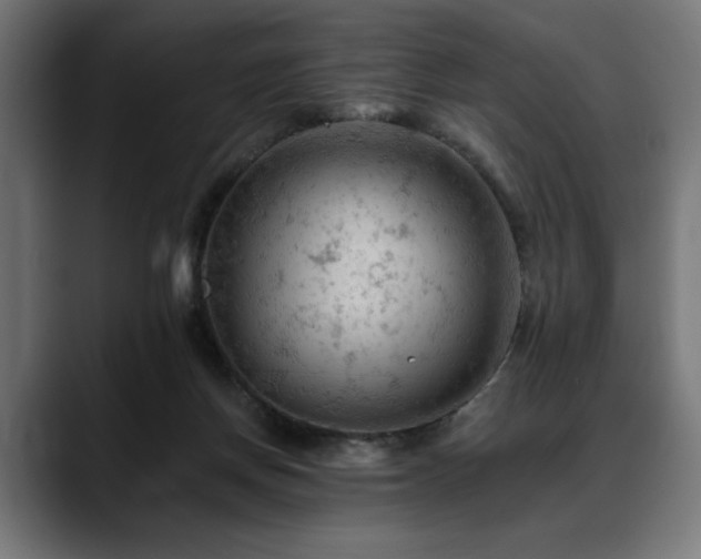 X0000088650166200705251509