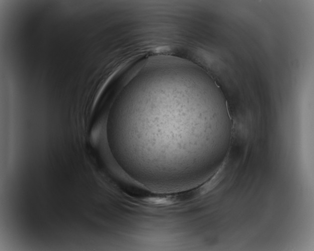 X0000088650170200705251509