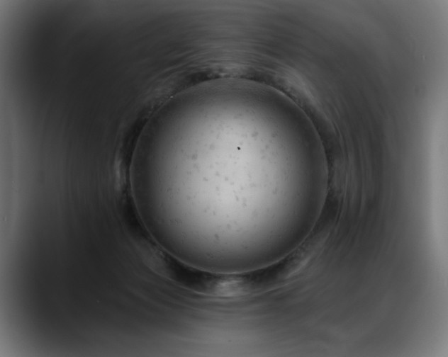 X0000088650173200705251509