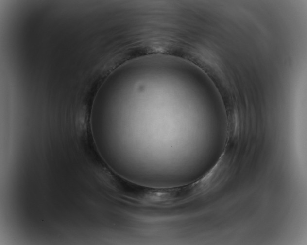 X0000088650174200705251509