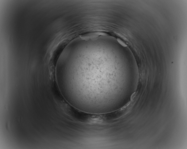 X0000088650175200705251509