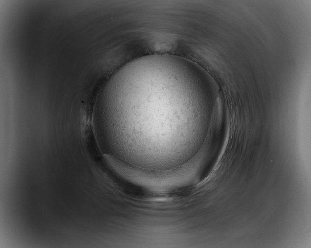 X0000088650176200705251509