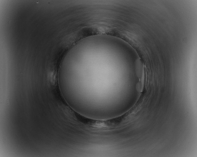 X0000088650177200705251509
