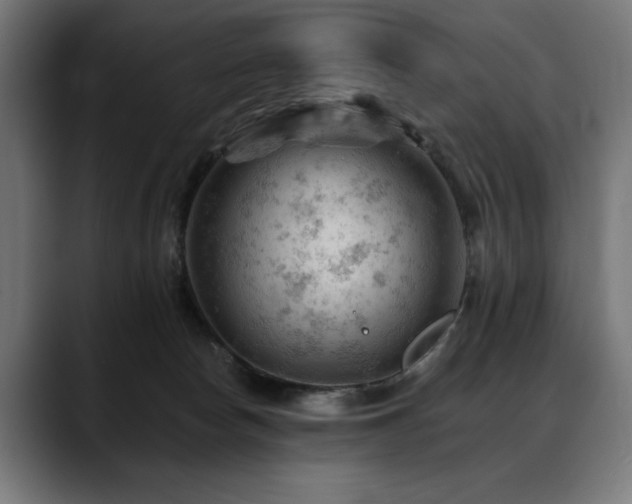 X0000088650178200705251509