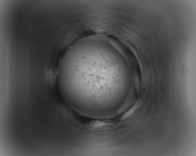 X0000088650180200705251509