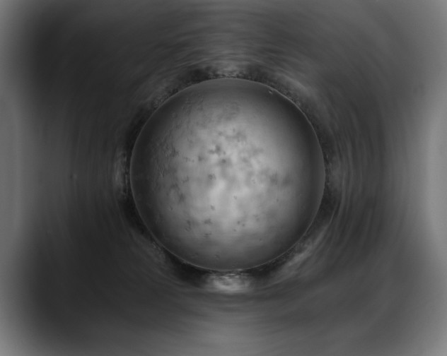 X0000088650181200705251509
