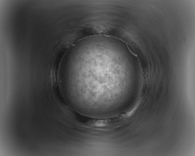 X0000088650182200705251509