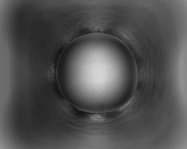 X0000088650183200705251509