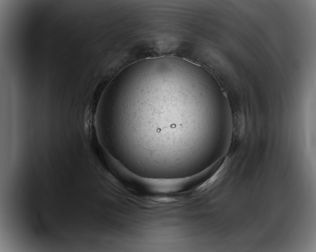 X0000088650184200705251509