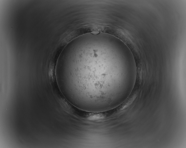 X0000088650185200705251509