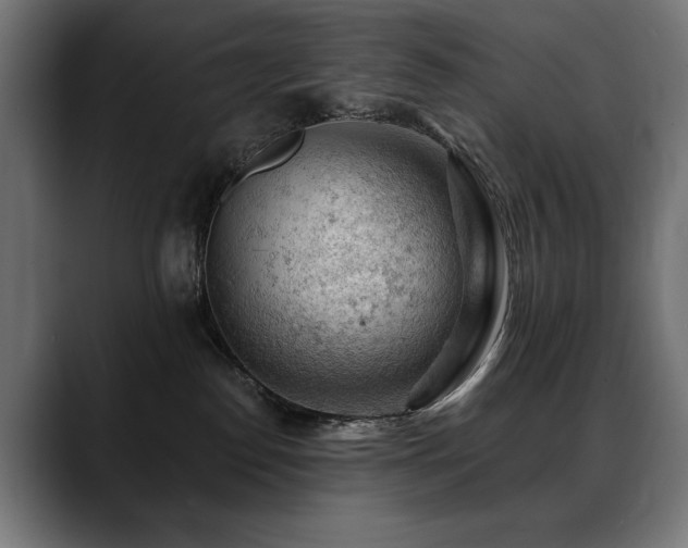 X0000088650186200705251509