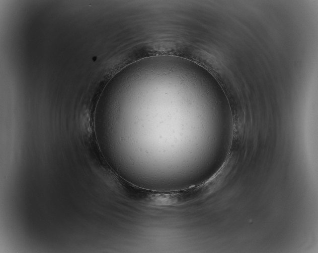 X0000088650187200705251509